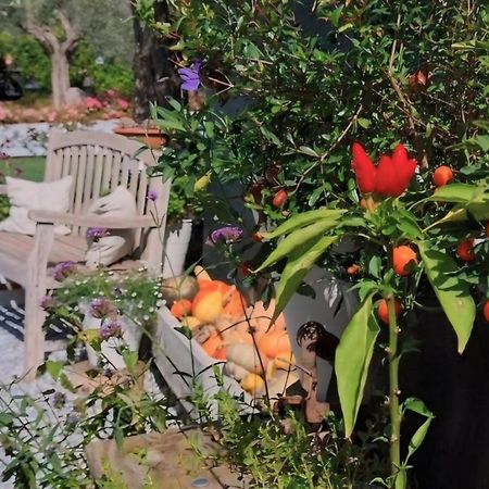 Casa Autunno Ξενοδοχείο Monzambano Εξωτερικό φωτογραφία
