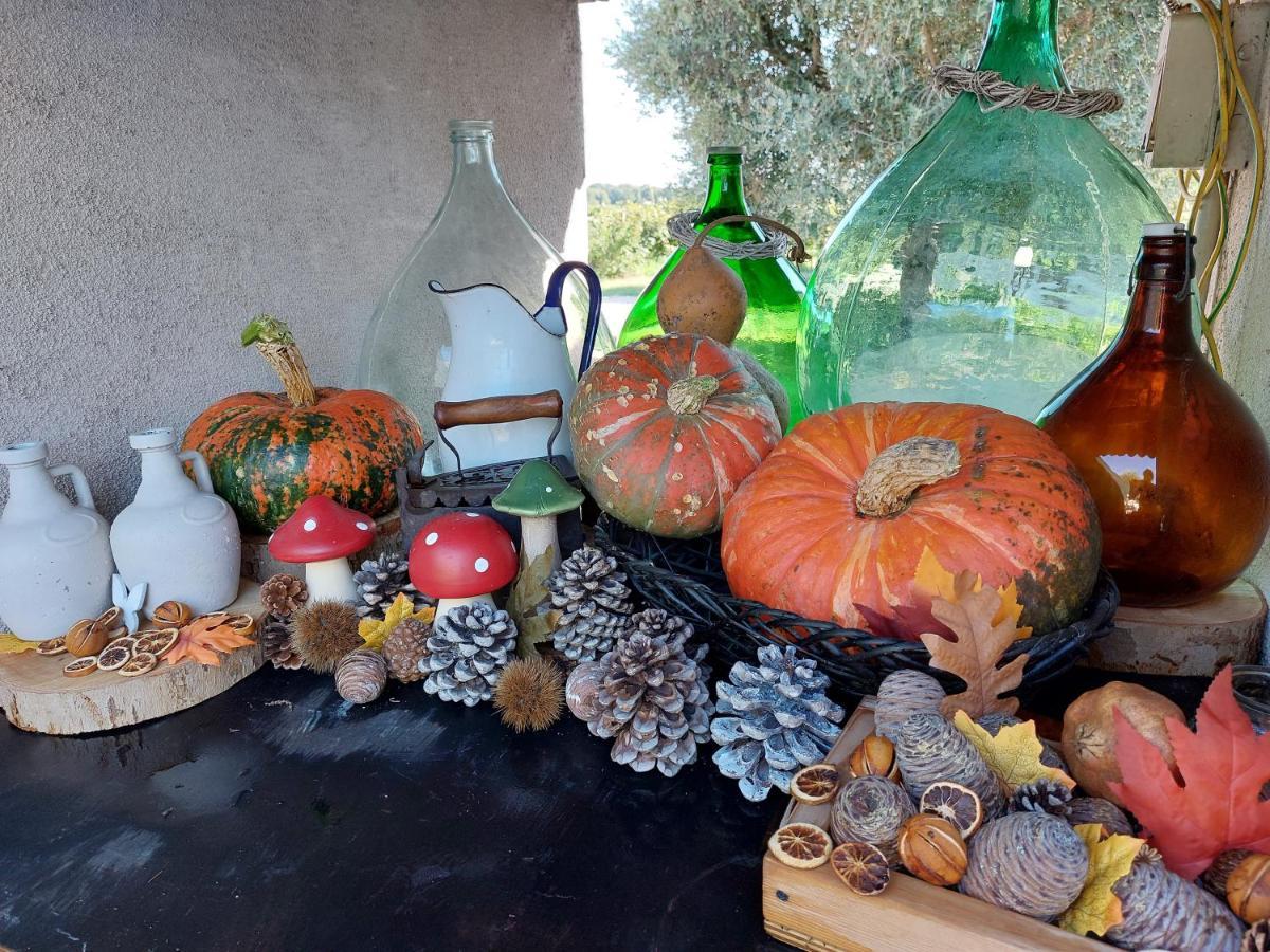 Casa Autunno Ξενοδοχείο Monzambano Εξωτερικό φωτογραφία