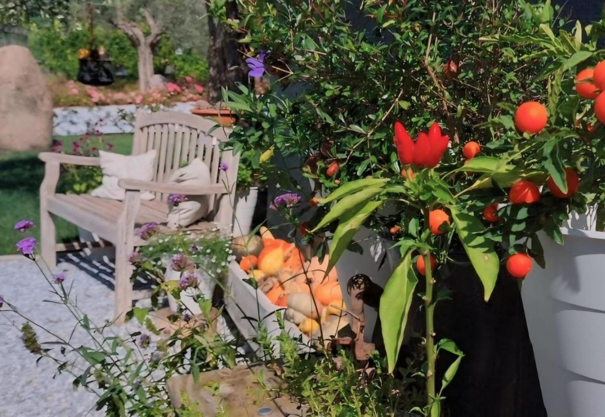 Casa Autunno Ξενοδοχείο Monzambano Εξωτερικό φωτογραφία